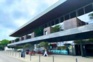 photo Initiation basket fauteuil