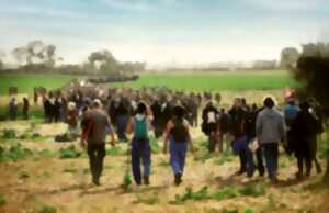 photo Ciné rencontre : les Soulèvements de la Terre