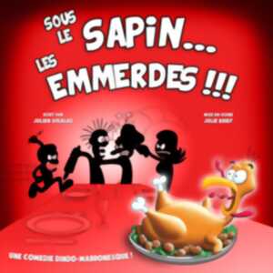 photo Sous le sapin...les emmerdes!!!