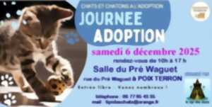 Journée adoption chats et chatons