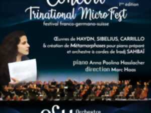 photo Concert Trinational MicroFest