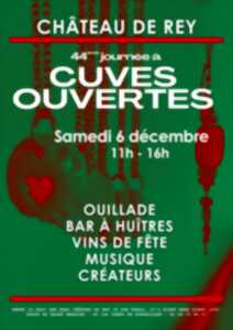 photo CUVES OUVERTES VINS DE FÊTES