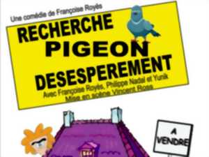 RECHERCHE PIGEON DÉSESPÉRÉMENT