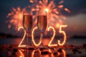 photo Nouvel An Dîner-Spectacle