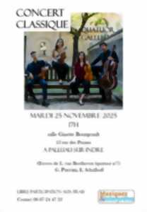 photo Concert classique