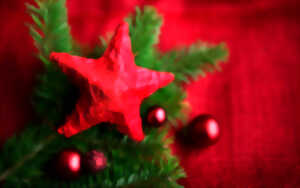 photo Exposition - vente