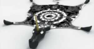 photo Conférence AMNAD - 15 ans de création contemporaine à la Cité internationale de la tapisserie