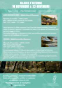 photo Balade sensorielle & botanique à Tamniès