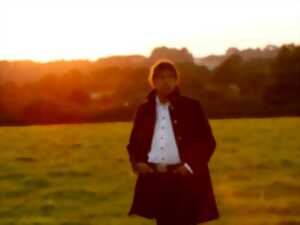 photo Laurent Voulzy - Toul