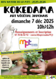 Rendez-vous nature de la MPT : Atelier Kokedama