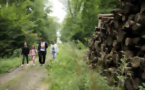 photo Ecorando à Abondant