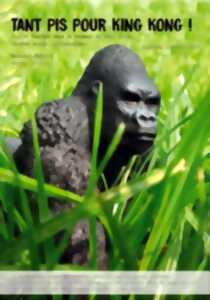photo Tant pis pour King Kong