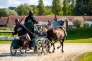 photo Equitation – Concours d'attelage Club / Poney / Amateur