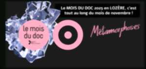 photo LE MOIS DU DOC : MADAME HOFMANN