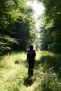 photo Balade nature - Histoire, légende et forêt