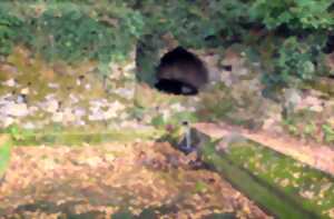 photo La grande soirée de l'eau