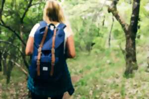 photo La marche de Romain