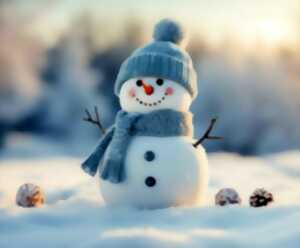 photo Noël à la Ferme - Entre Terre et Miel