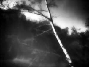 photo Exposition artistique de photographies