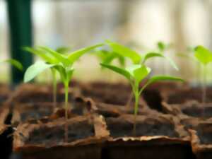 photo Conférence sur l'histoire des jardins en Béarn