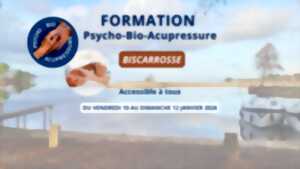 photo Formation à la Psycho-Bio-Acupressure