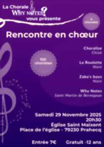 photo Why Notes Spectacle chorale à Prahecq