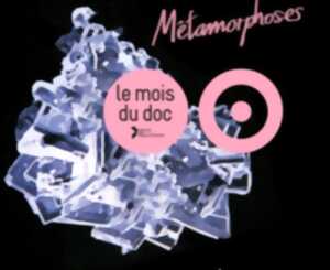 photo MOIS DU DOC : PROJECTION 