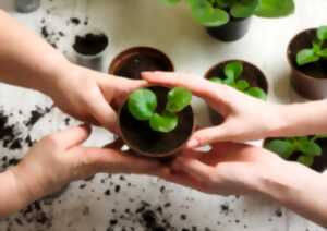 photo Troc aux plantes