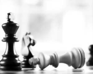 photo Après-midi famille