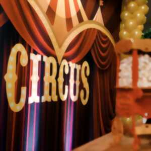 photo Sortie en car à Valence d'Agen : Noël en cirque