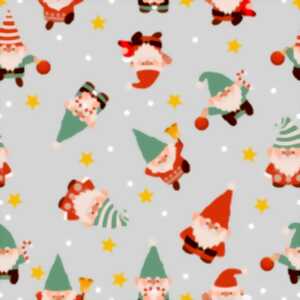 photo Chasse aux gnomes de Noël