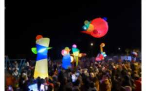 photo Noël à Pau - Fête des lumières