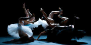 photo LE LAC DES CYGNES Florence Caillon – Compagnie L’Eolienne