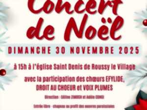 photo Concert de Noël