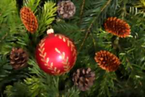 photo LA RECRE DE NOEL