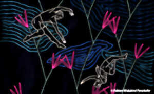 photo I watched myself in a red melon tree