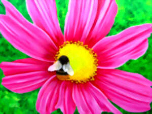 photo Exposition Céline Burel