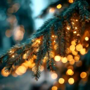 photo Chasse aux trésors