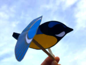 photo Ciné-atelier « Ma marionnette mésange »