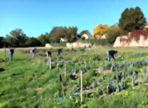 photo Atelier jardin