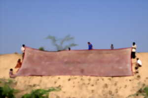 photo Conférence - Kalamkari d’hier et aujourd’hui : images de l’Inde et histoires voyageuses - Catherine Mâge