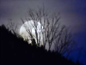 photo Les esprits de Noël dans les Vosges