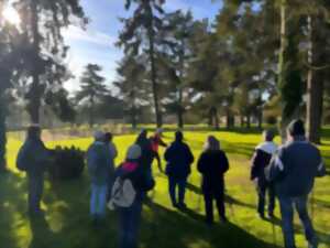 photo Animation marche avec bâtons