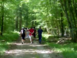 photo Randonnée pedestre