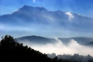 photo EXPOSITION PHOTO : 