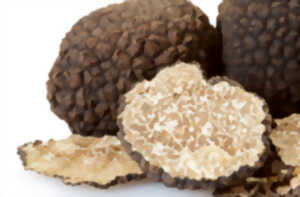 photo Repas | Château Les Merles