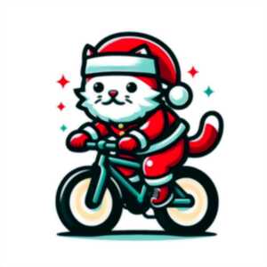 photo Rallye sportif de Noël