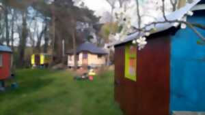 photo Rencontre publique autour de l’habitat léger en Alsace