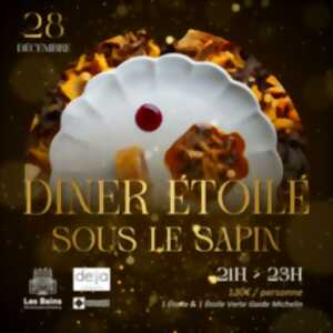 photo Dîner étoilé sous le sapin
