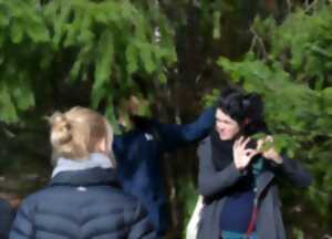 photo Balade contée à la rencontre des arbres